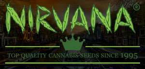 Welcome back Nirvana Seeds - in stock now!