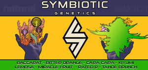 Symbiotic Genetics seeds are in stock now!