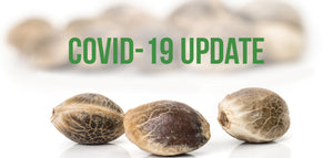 COVID-19 UPDATE - open for phone & online orders