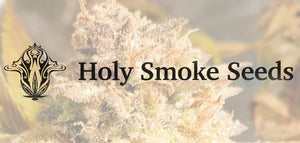 Holy Smoke Seeds new strains and restock