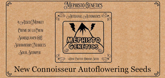 NEW SEEDBANK - Mephisto Genetics Connoisseur Auto Seeds