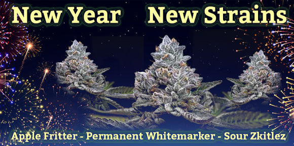 NEW YEAR - NEW STRAINS