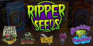 Introducing Ripper Seeds -  a new seedbank available now!