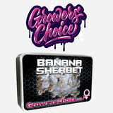 Growers Choice "Banana Sherbet" Feminised Cannabis Seeds