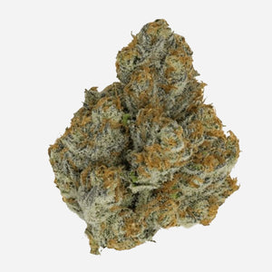 Growers Choice "Blue Zushi" Limited Edition Feminised Cannabis Seeds