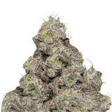 Growers Choice "Blue Forest Berry" Feminised Cannabis Seeds