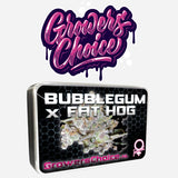 Growers Choice "Bubblegum x Fat Hog" Feminised Cannabis Seeds