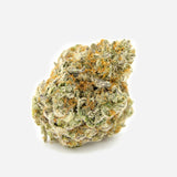 Growers Choice "Forbidden Runtz" Feminised Cannabis Seeds