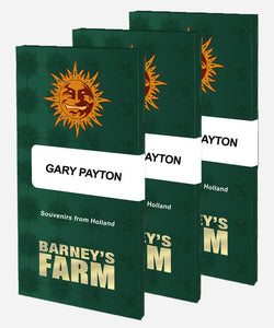 Barney's Farm "Gary Payton" Feminised Cannabis Seeds