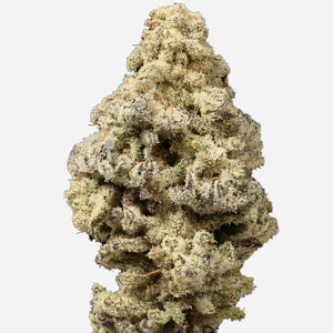 Growers Choice "Mac 'N Cheese" Limited Edition Feminised Cannabis Seeds