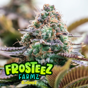 Frosteez Farmz "Slusheez" Feminised Cannabis Seeds