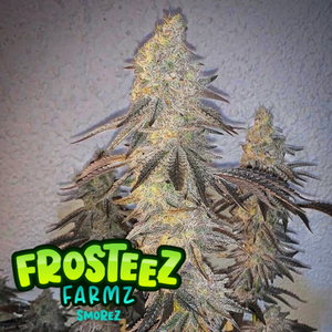 Frosteez Farmz "Smorez" Feminised Cannabis Seeds