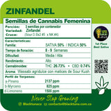 Black Tuna "Zinfandel" Feminised Cannabis Seeds