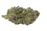 Growers Choice "Blue Zeclair" Feminised Cannabis Seeds