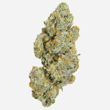 Growers Choice "Cherry 7up AUTO" Feminised Cannabis Seeds