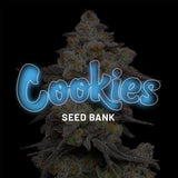 Cookies "Acai Grapes" Feminised Cannabis Seeds