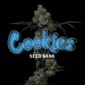 Cookies "Elephant Trunk" Feminised Cannabis Seeds