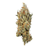 Royal Queen Seeds "Fat Banana" Feminised Cannabis Seeds
