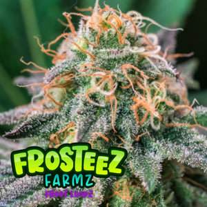 Frosteez Farmz "Froot Loopz" Feminised Cannabis Seeds
