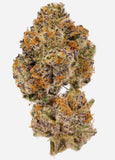 Growers Choice "Lemon Cherry Mochi" Feminised Cannabis Seeds