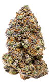 Growers Choice "Milkshake Nerdz" Feminised Cannabis Seeds
