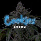 Cookies "Sunsetz" Feminised Cannabis Seeds