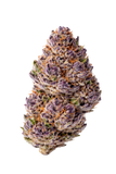 Growers Choice "Unicorn Wagyu" Feminised Cannabis Seeds