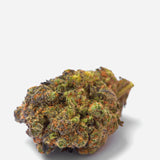 Growers Choice "WiFi Punch" Feminised Cannabis Seeds