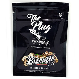 The Plug Biscotti 2.0 feminised cannabis seeds