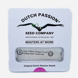 Dutch Passion Critical Orange Punch AUTO Feminised Seeds