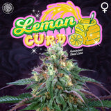 Perfect Tree Lemon Curd Feminised Cannabis Seeds