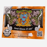 Sweet Seeds Sweet Mimosa XL AUTO Feminised Cannabis Seeds
