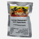 Conscious Genetics "Orange Runtz Cake" Feminised Cannabis Seeds