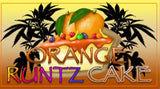 Conscious Genetics "Orange Runtz Cake" Feminised Cannabis Seeds